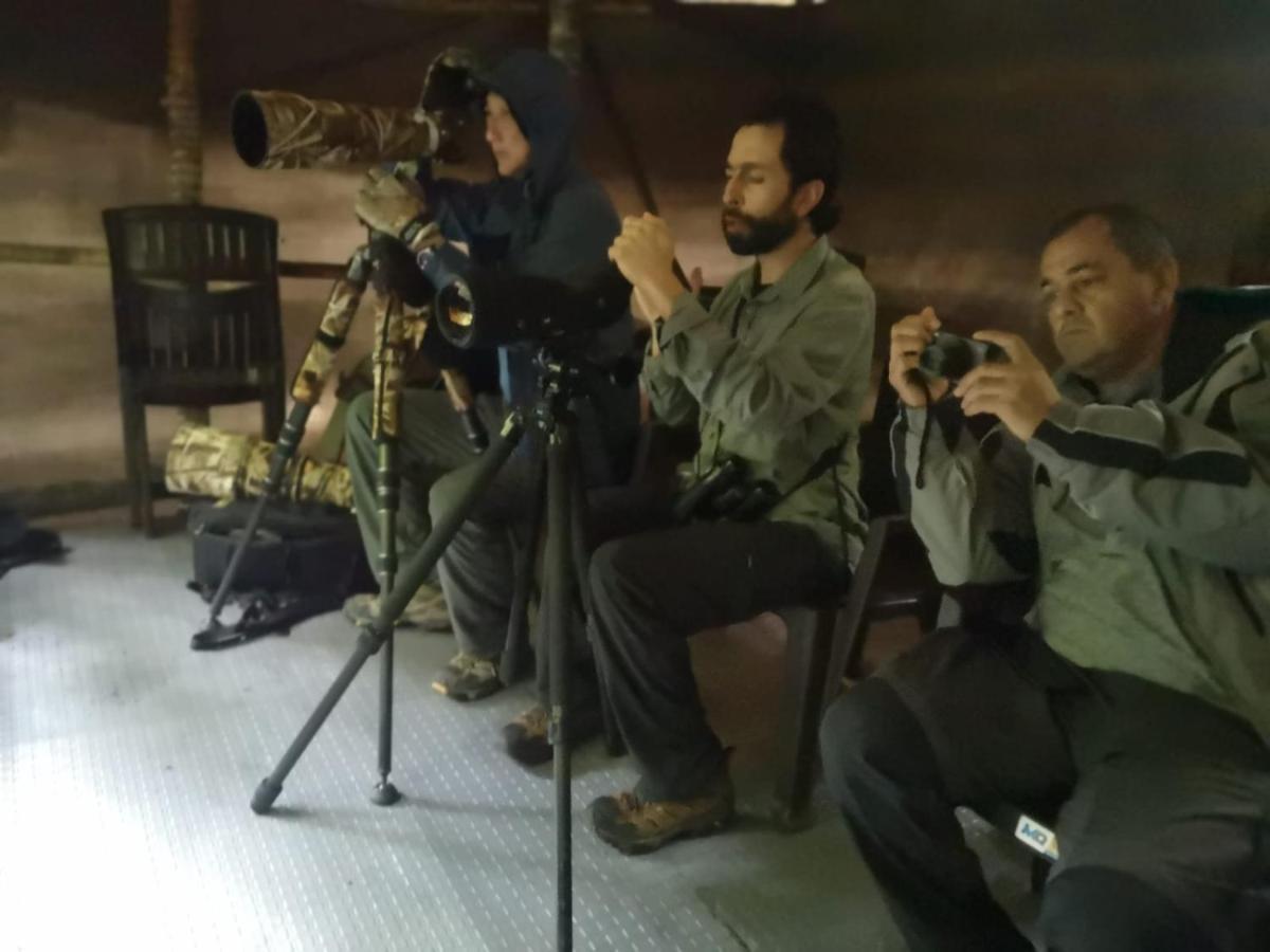 Bosque De Niebla Birding & Nature Cali Exteriör bild