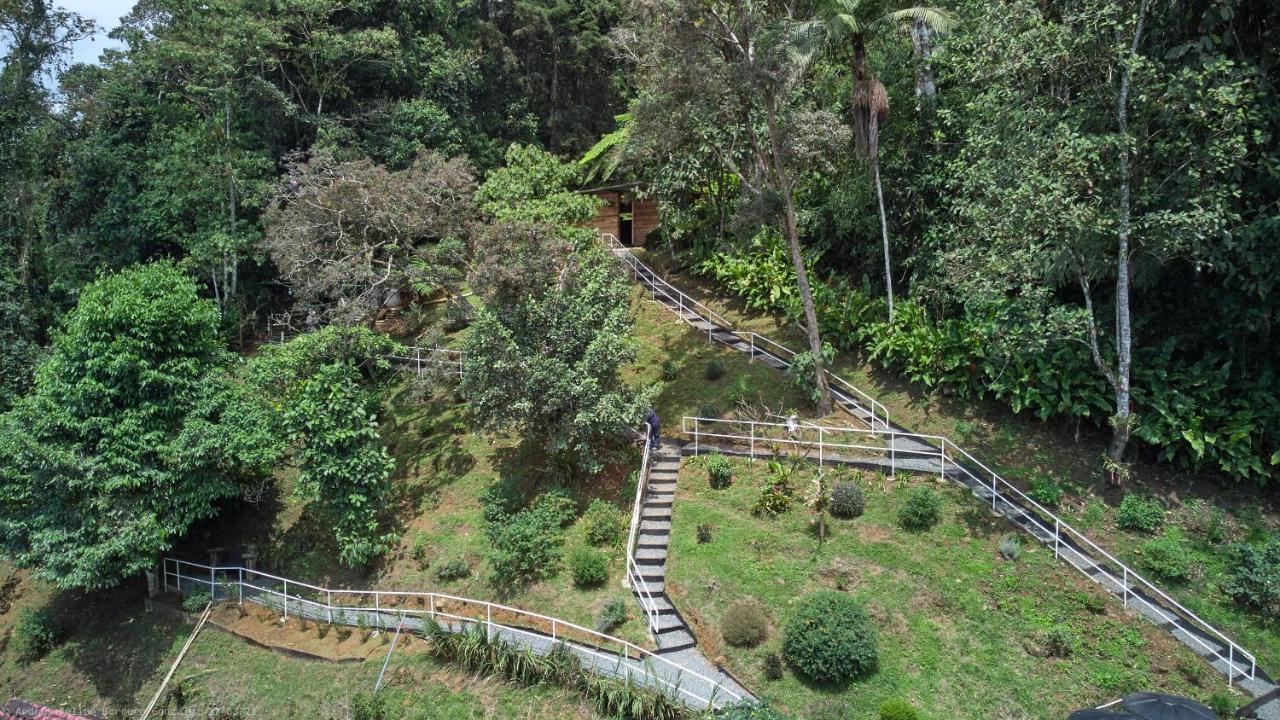 Bosque De Niebla Birding & Nature Cali Exteriör bild