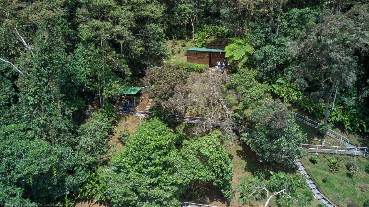 Bosque De Niebla Birding & Nature Cali Exteriör bild
