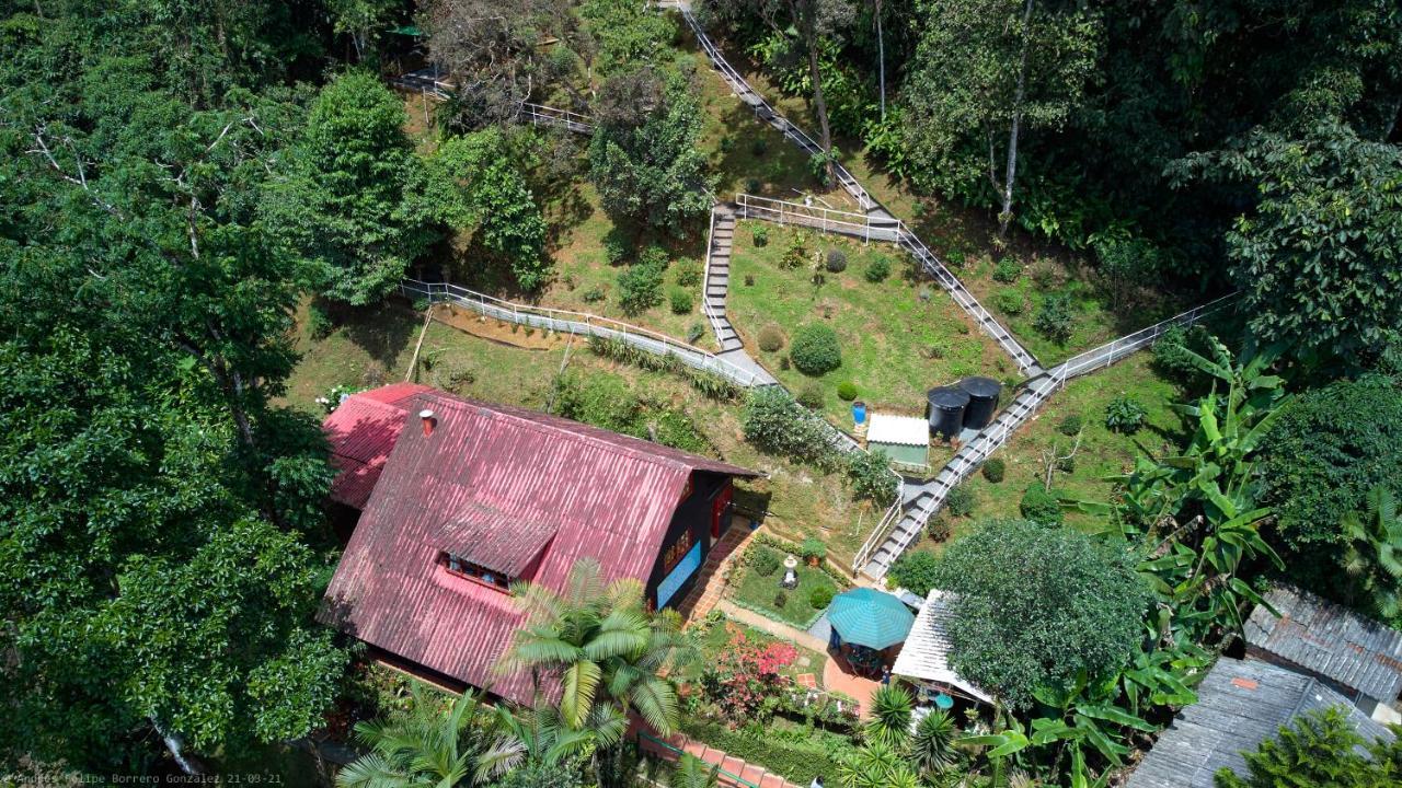 Bosque De Niebla Birding & Nature Cali Exteriör bild