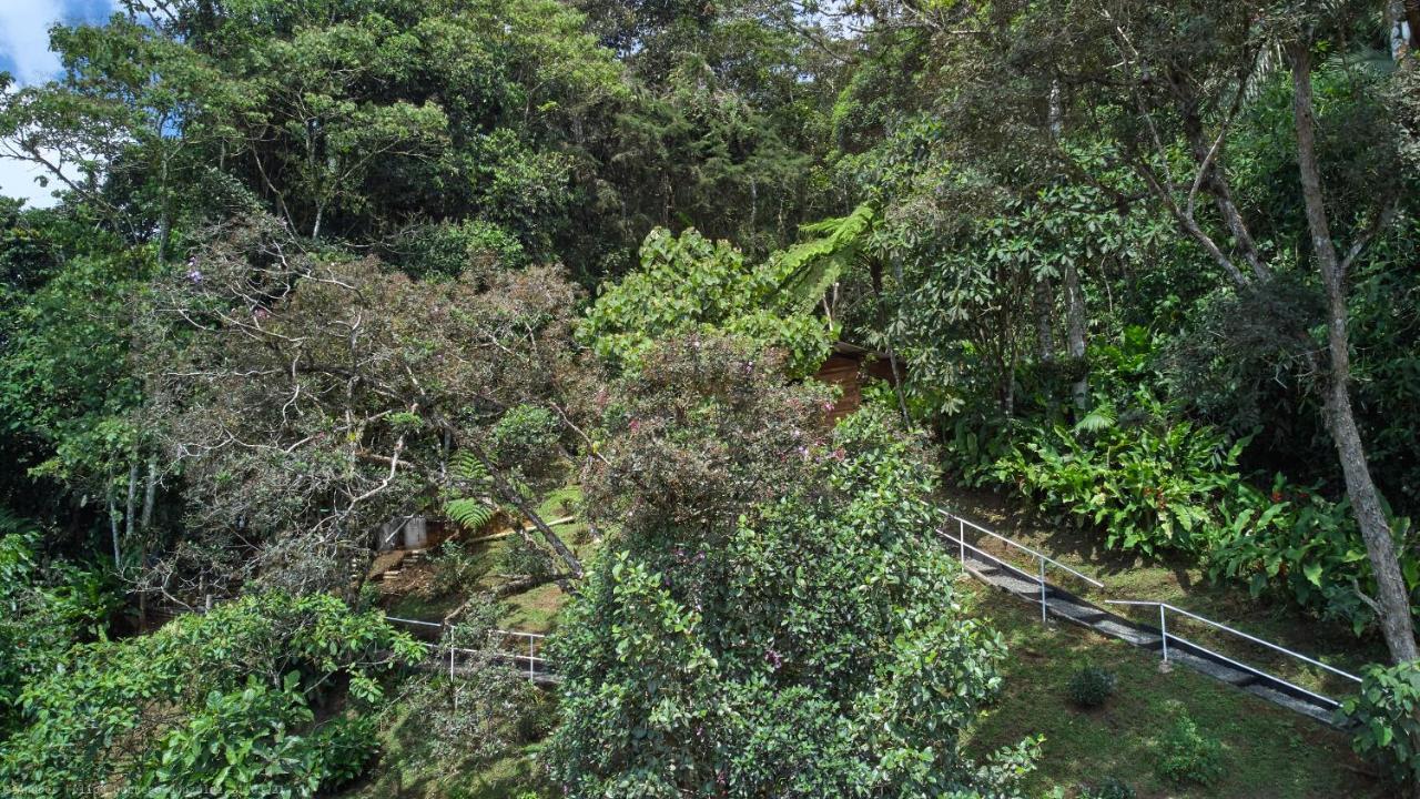 Bosque De Niebla Birding & Nature Cali Exteriör bild